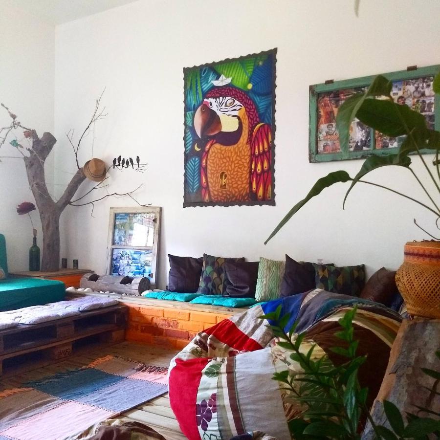 Katsbarnea Hostel Florianópolis Екстериор снимка