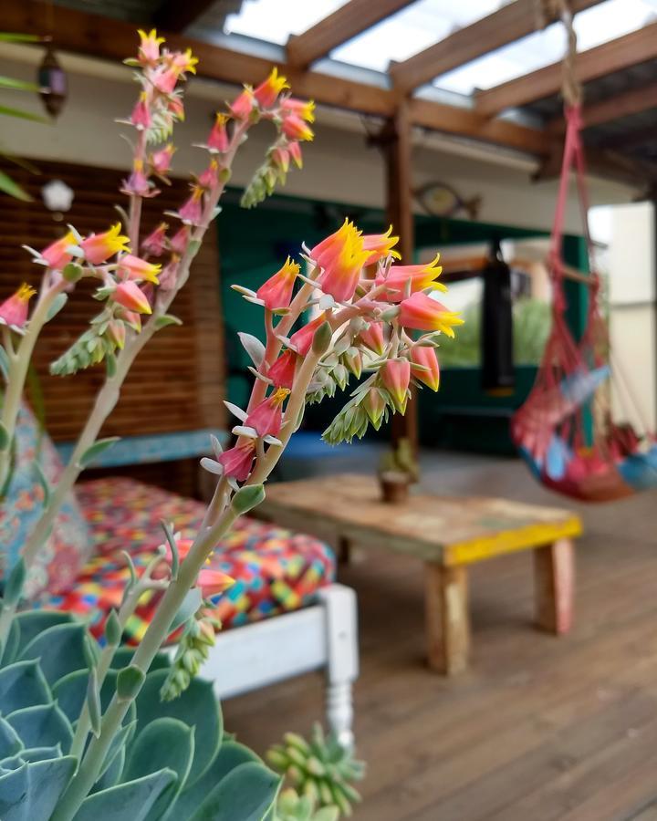 Katsbarnea Hostel Florianópolis Екстериор снимка